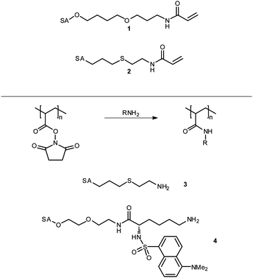 
            Sialic acid derived monomers and amines as used by Whitesides et al. in the synthesis of glycopolymeric influenza hæmagglutinin inhibitors. See Fig. 1 for structure of sialic acid (SA).