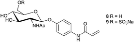 
            Glucosamine based glycomonomers as synthesised by Miura et al.47