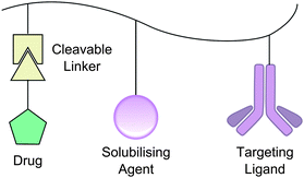 The Ringsdorf model for drug delivery by polymers.