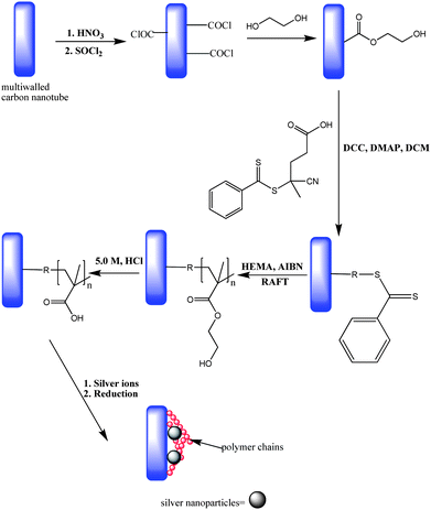 Preparation of carbon natubes-silver metal hybrids (adapted from ref. 108).