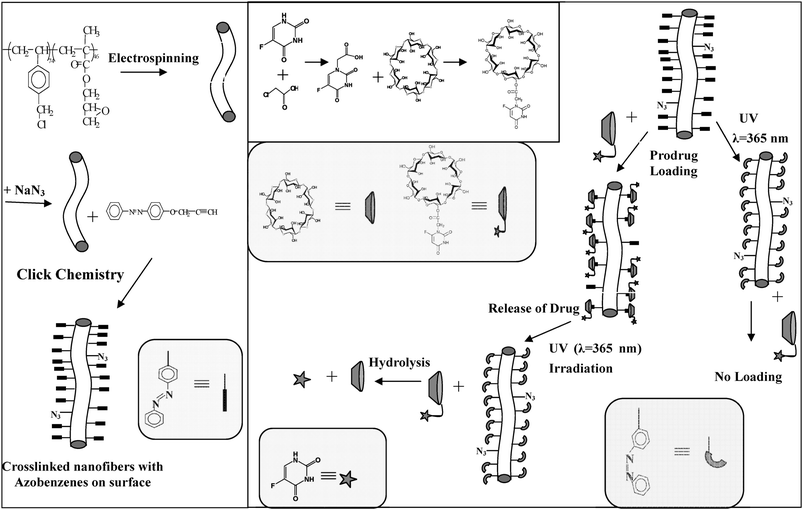 A schematic illustration of the preparation of the cross-linked nanofibers of PVBC-b-PGMA with AB groups on the surface (CNFPVBC-b-PGMA-AB), the synthesis of the CD and 5FU prodrug (R-CD-5FU), and the photoresponsive loading and release of the R-CD-5FU prodrug on the CNFPVBC-b-PGMA-AB surface by host–guest interaction.74