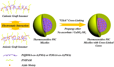 Schematic illustration of formation of thermosensitive polyion complex (PIC) micelles and their core cross-linking via click chemistry.52