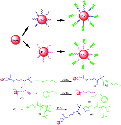 A general scheme for functionalizing the surface of iron oxide nanoparticles.60