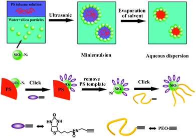 A schematic representation of the preparation of bioconjugated particles.62