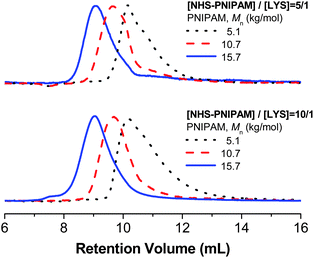 Aqueous SEC UV traces of the conjugation reaction products of PNIPAM (Mn = 5.1, 10.7, and 15.7 kg mol−1) and LYS at molar ratios of [PNIPAM]/[LYS] = 5/1 and 10/1.
