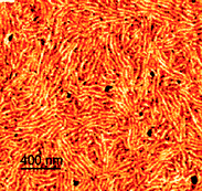 
            Tapping mode atomic force microscopy phase image (scan size 2 µm × 2 µm) of poly(3-hexylthiophene)-b-polystyrene film (reprinted with permission from the American Chemical Society).193