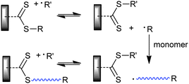 “Grafting from” with ‘Z’ connected RAFT agent.