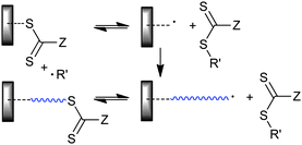 “Grafting from” with ‘R’ connected RAFT agent.