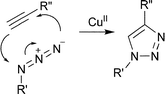 
              Copper-catalyzed azide–alkyne 1,3-dipolar cycloaddition.