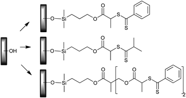 Direct modification of silicon wafer surface with silane-functional RAFT agents.