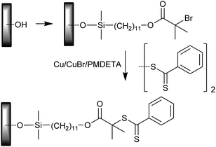 Modification of silicon wafer surface by atom transfer radical addition.