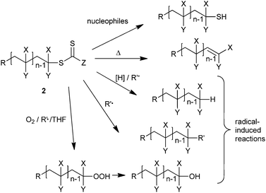 Processes for thiocarbonylthio-group transformation. (R′˙ is a radical, [H] is a hydrogen atom donor)