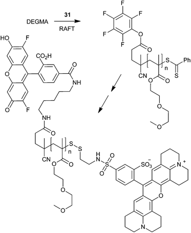 Use of the active ester–amine and the thiol–methanethiosulfonate “click” reactions for selective end-group transformation.95