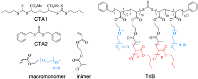 Chain transfer agents, monomers and polymers studied.