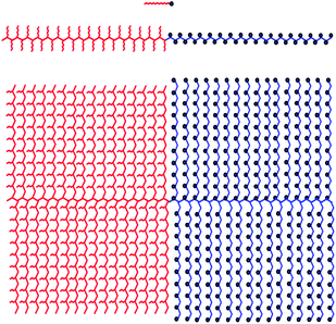 Comparison of the architecture of a standard surfactant, a macrosurfactant, and a giant surfactant (from top to bottom). The left () and the right side (○) represent the hydrophobic and hydrophilic elements, respectively.