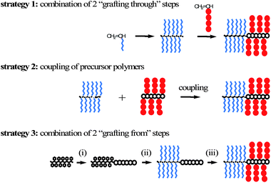 Synthetic strategies to amphiphilic dual brush block copolymers.