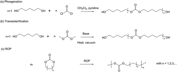 Synthetic methods for the preparation of aliphatic polycarbonates.