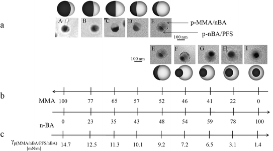 
            TEM micrographs of colloidal particles consisting of (A) P100/0-S2, (B) P80/20-S2,(C)(P60/40-S2, (D) P55/45- S2,(E) P55/50-S2, (F) P45/55-S2, (G) P40/60-S2, (H) P20/80-S2, (I) P0/100-S2. Table 1 provides a compositional content.