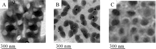 
            TEM images of coalesced particles of P100/0-S2 (A), P50/50-S2 (B) and P0/100-S2 (C) particles showing a phase separation near the film-air (F-A) interface.