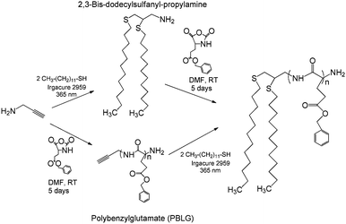 Divergent (top) and convergent (bottom) routes to DDT2–PBLG 3-arm star polymers. Although this is shown for PBLG polymers, the same protocol can be used for DDT2–P(Z-Lys).