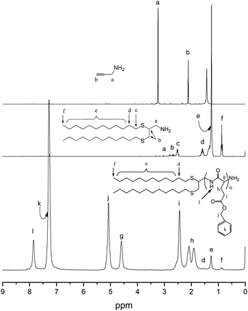 
          1H NMR for the divergent synthesis of DDT2–PBLG lipid mimetics: top, PA; middle, DDT2–NH2; bottom, DDT2–PBLG.