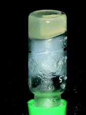 Organogel from DDT2–P(Z-Lys)22 in 10 wt% CHCl3.