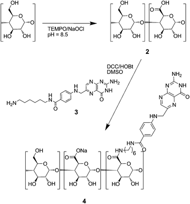 Scheme of the syntheses of anionic starch derivatives 2 and 4.