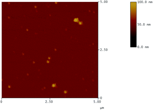 
            AFM image of nanoparticles 1·4b.