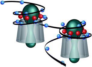 Fragment of the possible structure of the nanoplexes from 1 and 4, positive charges are shown in red, negative charges in blue.