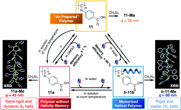 Schematic illustration of the helicity induction of polymer 11 in DMSO and water and their mutual interconversions and main characteristics. (Adapted with permission from ref. 23 and 68, Copyright 2009, American Chemical Society.)