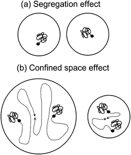 Schematic illustrations of (a) the segregation effect and (b) the confined space effect in a compartmentalized reaction system. Reprinted with permission from ref. 13. Copyright 2008 American Chemical Society.