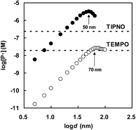 Simulated propagating radical concentrations vs. particle diameter for TIPNO (●) and TEMPO (○) mediated radical polymerization of styrene in dispersed system at different particle diameters at 125 °C (spontaneous initiation of styrene included, [PT]0 = 0.02 M) at 1% styrene conversion. The dotted lines denote the simulated propagating radical concentrations under bulk conditions. Reprinted with permission from ref. 32. Copyright 2009 Wiley-VCH Verlag GmbH & Co.