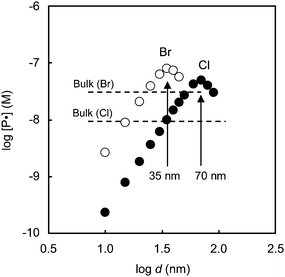 Simulated [P˙] as a function of particle diameter (d) at 1% conversion for ATRP of styrene ([styrene]0 = 8.7 M in organic phase) at 75 °C in a dispersed system as a function of particle diameter (d) and in bulk (dotted lines). (○): [PX]0 = [CuBr/2dNbpy]0 = 43.5 mM; (●) [PX]0 = [CuCl/2dNbpy]0 = 43.5 mM. The dotted lines indicate [P˙] in bulk of the respective bulk systems at 1% conversion. Reprinted with permission from ref. 39. Copyright 2009 American Chemical Society.