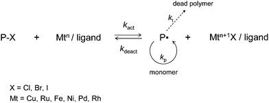 Atom transfer radical polymerization (ATRP).