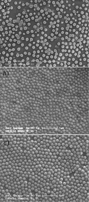 Typical SEM images obtained by drying aqueous dispersions of thermo- and photo-responsive P(NIPAM-DMNA-NBDAE-RhBEA) microgels prepared at varying DMNA feed contents: (a) 5.0 wt%, (b) 15.0 wt%, and (c) 20.0 wt%. Scale bars represent 1 μm in all cases.