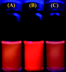 Photographs immediately recorded under a 365 nm UV Lamp for P(NIPAM-DMNA-NBDAE-RhBEA) microgel dispersions (pH 8.5, 1.0 × 10−4 g mL−1; microgels were prepared with a DMNA feed ratio of 20.0 wt%) under varying conditions: (a) 25 °C; (b) 38 °C; (c) 38 °C and after UV irradiation (365 nm) for 30 min.