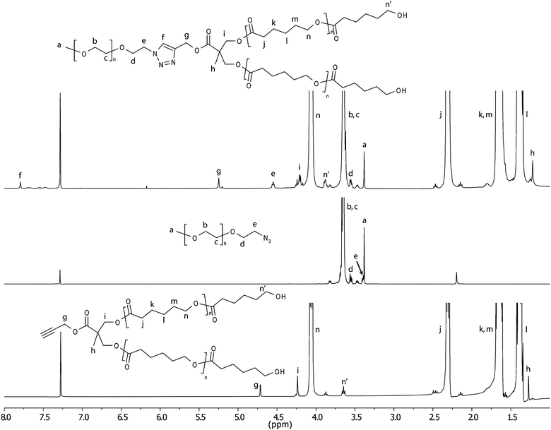 1H-NMR of alk–G1–PCL60, PEG2k–N33 and the formed product PEG2k–G1–PCL60.