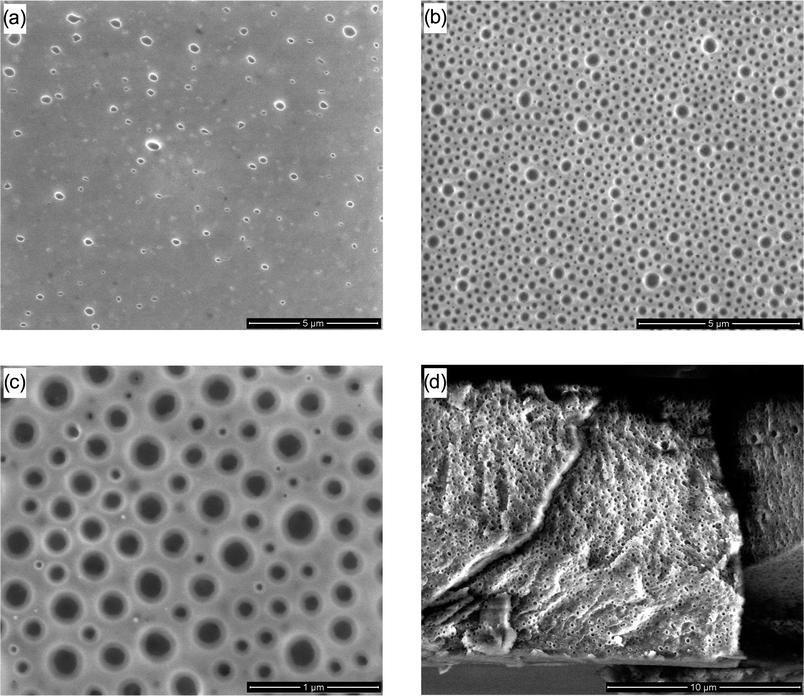 
          SEM images of (a) PS-b-PEO 3b (18.5-b-5.0 kg mol−1) after heating to 90 °C and washing with water; (b) PS-b-PEO 3a (10.6-b-5.0 kg mol−1) after heating to 90 °C and washing with water; (c) PS-b-PEO 3a (10.6-b-5.0 kg mol−1) after heating to 90 °C and washing with water; and (d) freeze-fracture cross-section of PS-b-PEO 3a (10.6-b-5.0 kg mol−1) after heating to 90 °C and washing with water.