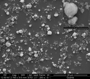 
              SEM image of neat alumina nanoparticles, inset showing agglomerated nanoparticles.