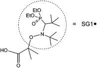The structure of alkoxyamine MAMA-SG1 with a 1-carboxy-1-methyl ethyl radical as the initiator and N-tert-butyl-N(1-diethylphosphono-2,2-(dimethylpropyl)) nitroxide (SG1) as the controller.