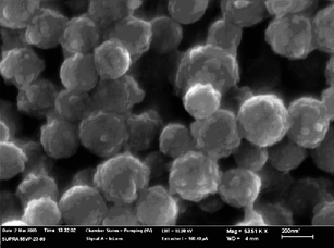 
          FE-SEM image of Laponite RD armored polystyrene latex. Reprinted with permission from ref. 72. Copyright 2005 American Chemical Society.