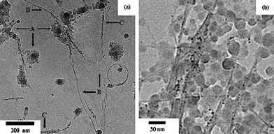 
          TEM images of polypyrrole/SWNT nanocomposites at different magnifications. Reprinted with permission from ref. 88. Copyright 2005 Elsevier.
