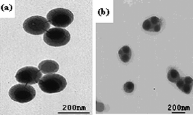 
          TEM photographs of poly(styrene–butyl acrylate)/silica nanocomposite spheres using 20 mM SDS and 90 nm silica at different styrene/butyl acrylate weight ratios: (a) 10/0; (b) 6/4. Reprinted with permission from ref. 100. Copyright 2006 Wiley-VCH.