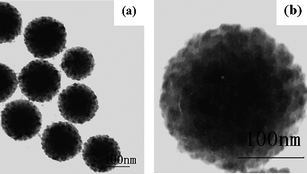 
          TEM images of the raspberry-like, double-decked silica/polystyrene/silica hybrid spheres at different magnification. Reprinted with permission from ref. 101. Copyright 2007 Wiley-VCH.