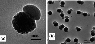 
          TEM images of mushroom-like polystyrene/silica nanocomposite spheres: (a) single pair; (b) multiple pairs. Reprinted with permission from ref. 102. Copyright 2008 American Chemical Society.