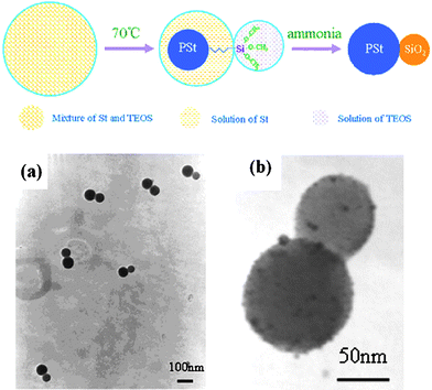 A schematic of the process for synthesis of polystyrene/silica asymmetric spheres viaminiemulsion polymerization and TEM images of asymmetric hybrid spheres: (a) hybrid polystyrene/silica asymmetric spheres, (b) hybrid polystyrene/silica asymmetric spheres decorated with Ag colloids. Reprinted with permission from ref. 107. Copyright 2008 Elsevier.