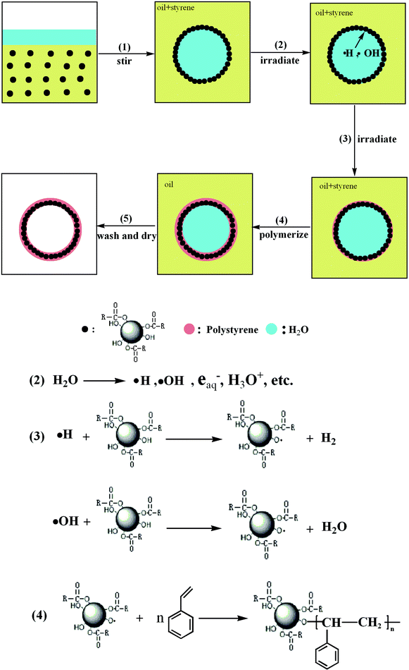 A schematic illustration of hollow superparamagnetic nanocomposite microspheres. Reprinted with permission from ref. 54. Copyright 2008 Wiley-VCH.