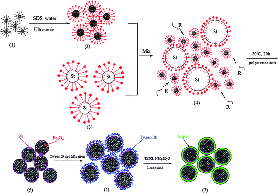 A diagram of the preparation of hydrophilic magnetic Fe3O4/polystyrene/silica nanospheres with high saturation magnetization. Reprinted with permission from ref. 55. Copyright 2006 American Chemical Society.