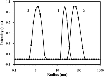 
          DLS data showing the average particle size dimension at room temperature being 44 nm for Fmoc-pY-PiPrOx-OH (1) (▲), 92 nm for Fmoc-Y-PiPrOx-OH (2) (●) and 2 nm for propargyl-PiPrOx-OH (3) (■).