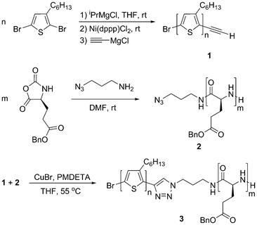 Synthesis of P3HT–CCH (1) and PBLG–N3 (2) and their respective block copolymer P3HT–block–PBLG (3).